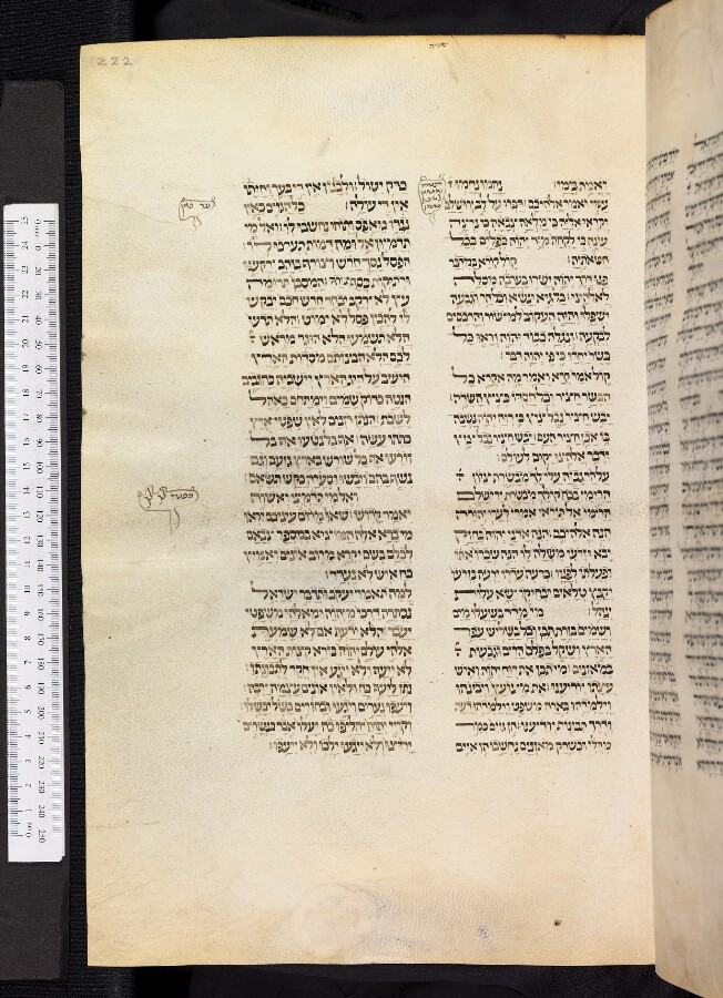 Bodleian Library MS. Canonici Or. 87, folio 222r